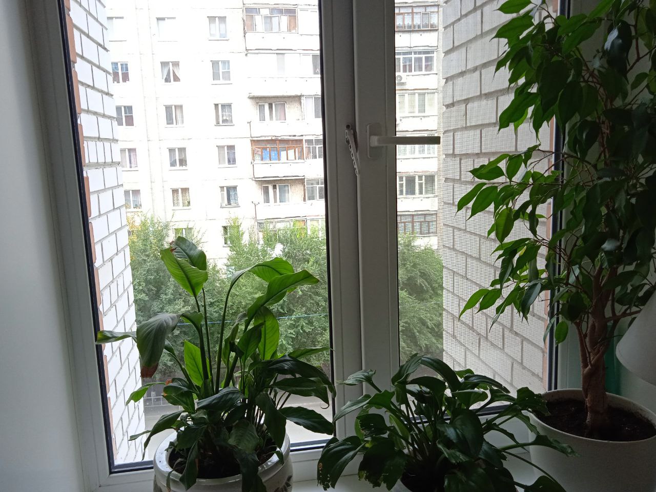 https://volzhskij.delaem-okna.ru/storage/app/uploads/public/63f/332/8c0/63f3328c0d6f7867060515.jpg